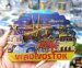 Магнит фигурный "Владивосток. Мост"