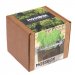 ЭкоКуб для выращивания "MossBox Fire Green Dice мох стабилизированный"