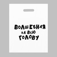 Пакет полиэтиленовый «Волшебная на всю голову», 31 х 40 см