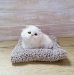 Котенок на подушке
