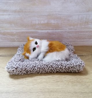 Котенок на подушке