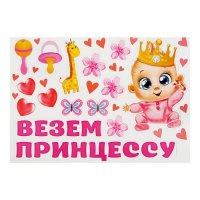 Набор магнитов на авто "Везём принцессу"