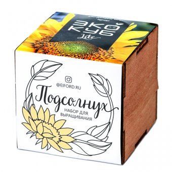 Экокуб LITE набор для выращивания "Подсолнух"