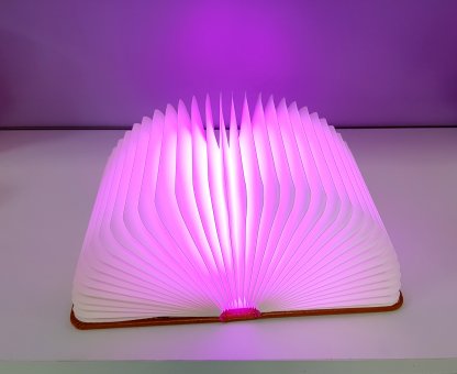 Ночник Книга