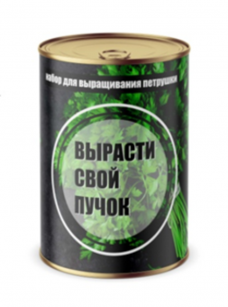 Набор Вырасти свой пучок