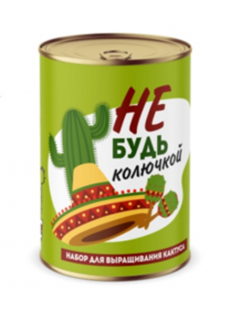 Набор для выращивания кактуса