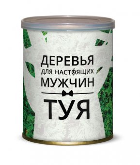Растущая травка в банке "Деревья для настоящих мужчин Туя"